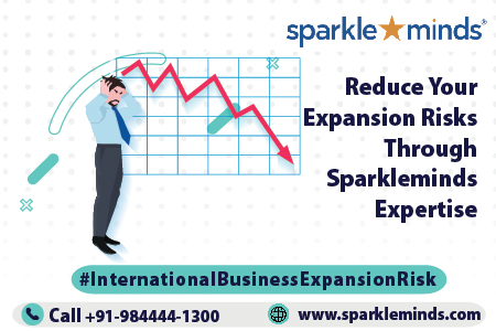 International Business Expansion Risks