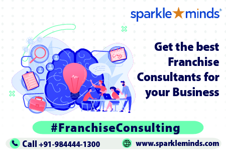 Franchise Consulting Strategy Framework